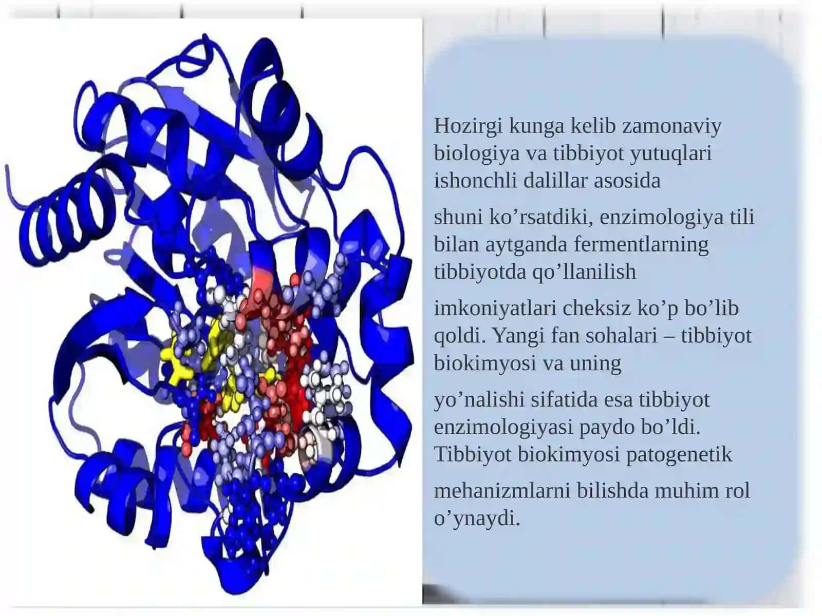 Tripisn va pepsin fermentlarining organizmdagi ahamiyati 2