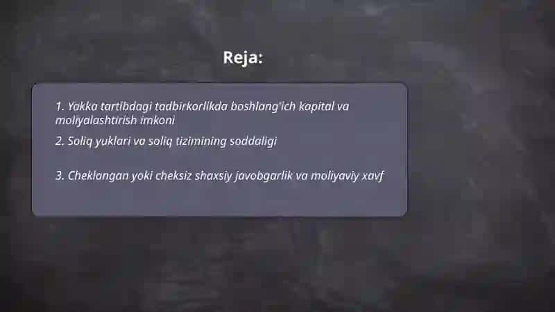 Yakka tartibdagi tadbirkorlikning iqtisodiy ustunliklari va kamchiliklar 2