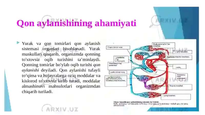 GIPOVOLEMIYALARDA QON AYLANISHINING O'ZGARISHLARI 2