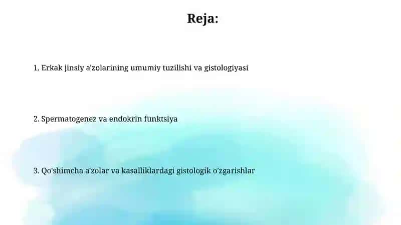 Erkaklar jinsiy sistemasi gistologiyasi 2