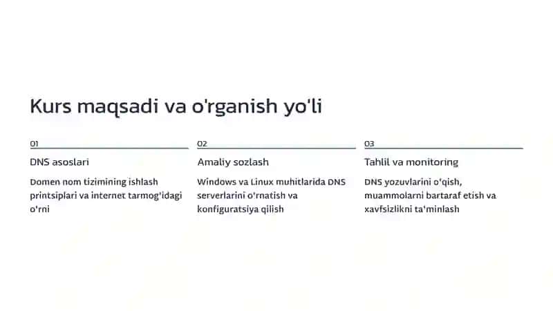 DNS Serverni Sozlash va Domen Nomlarini Tahlil Qilish 2