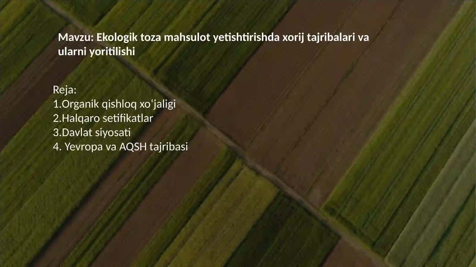 Ekologik toza mahsulot yetishtirishda xorij tajribalari va ularni yoritilishi 2