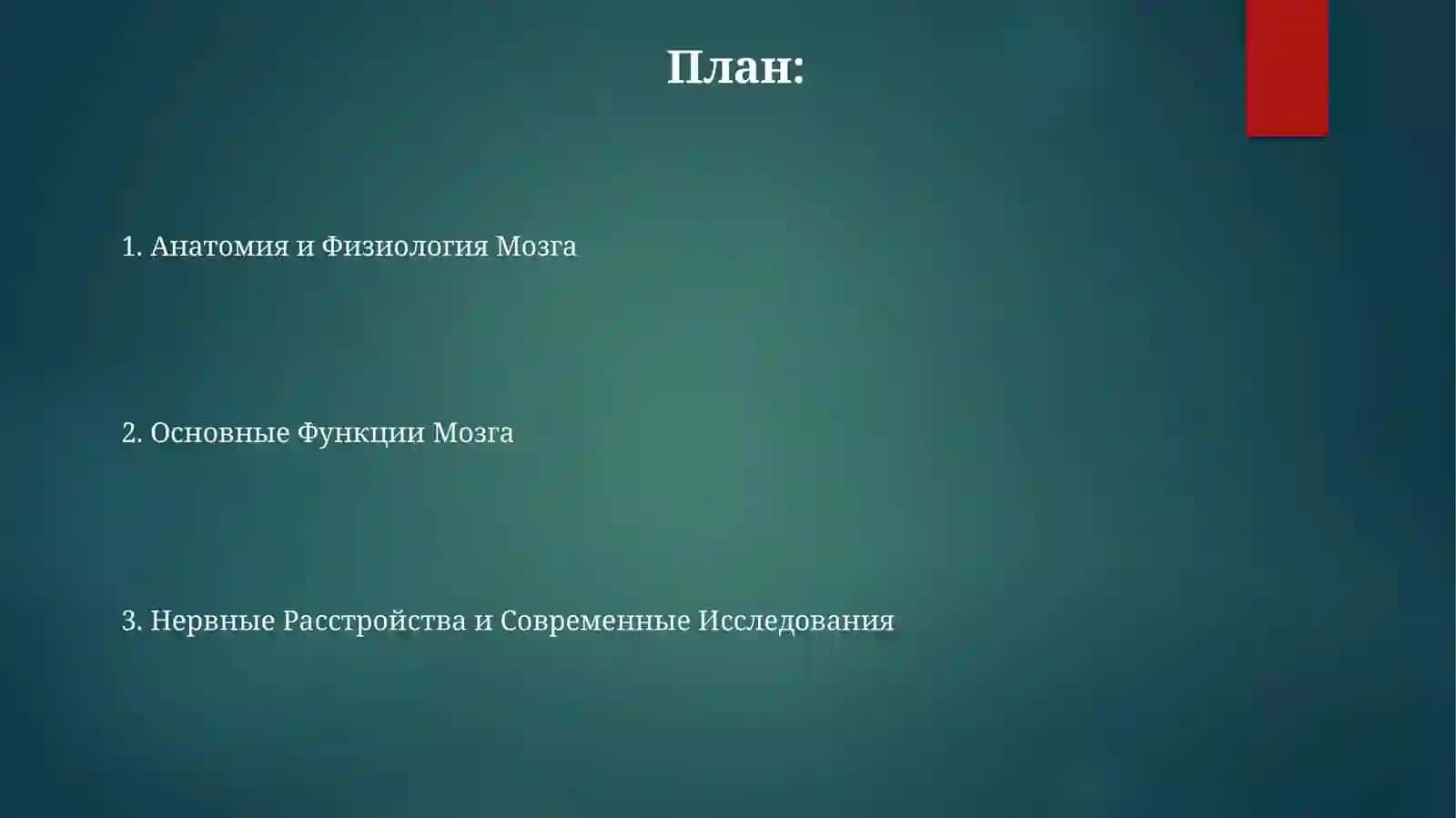 Анатомия и Физиология Мозга 2