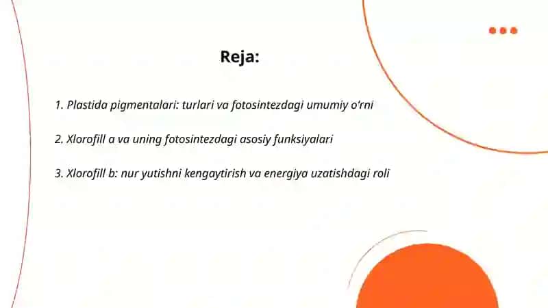 Plastida pigmentalari va ularning fotosintezdagi òrni 2
