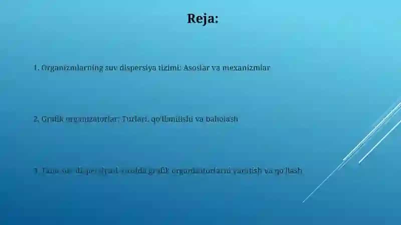 Organizmningsuvdisperssistemasihaqidabilimlartadbiqqilishorqaligrafikliorganayzerlar 2