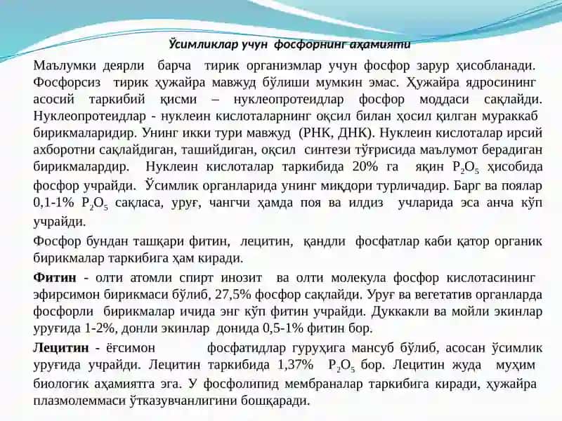 Ўсимликларнинг фосфор билан озиқланиши, фосфорли ўғитлар ва уларни самарадорлиги 2