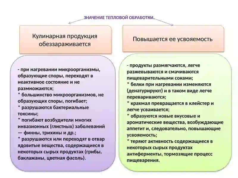 ВЛИЯНИЯ ТЕМПЕРАТУРЫ НА ПРОЦЕССЫ ПИШЕВАРИНИЯ 2