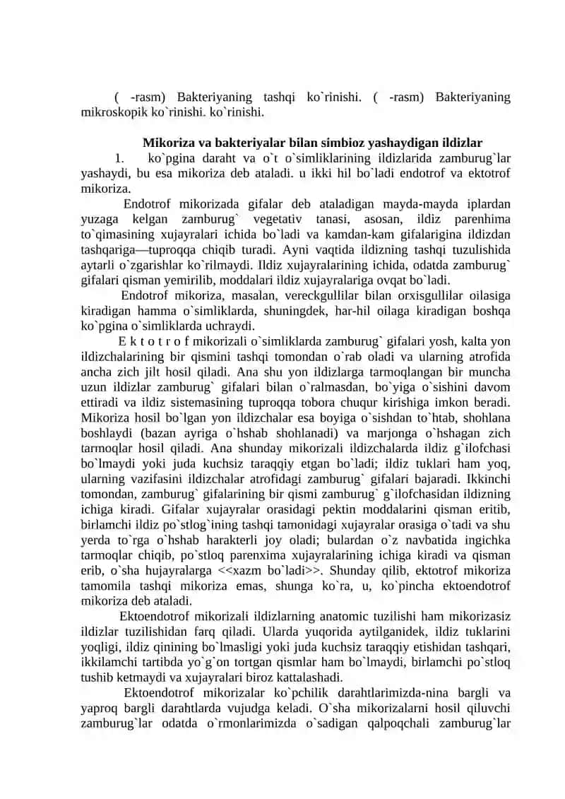 Bakteriyalar haqida tushuncha 2