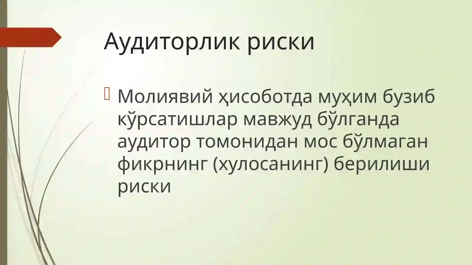 Аудиторлик риски 2