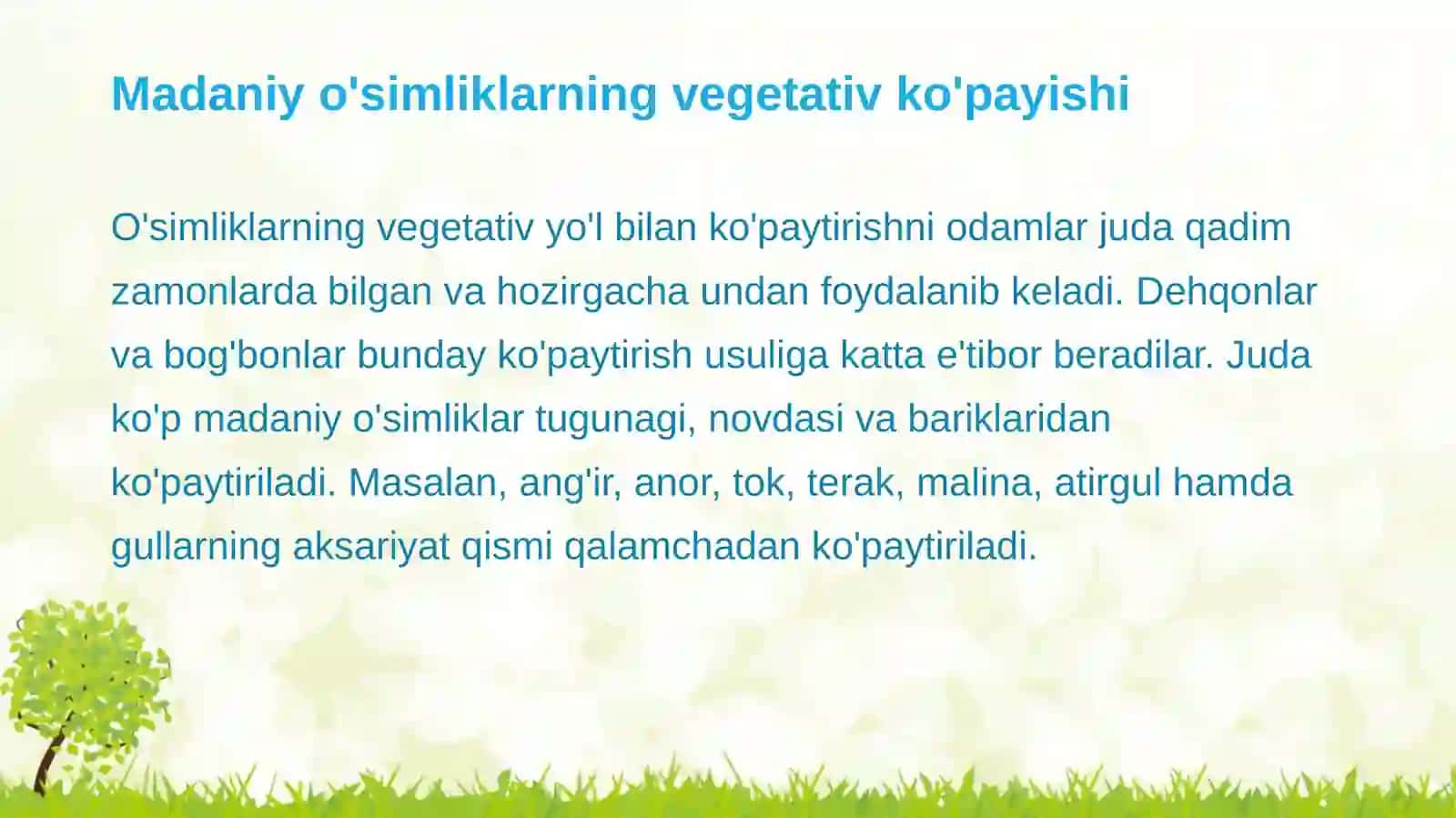 Madaniy o'simliklarning vegetativ ko'payishi 2