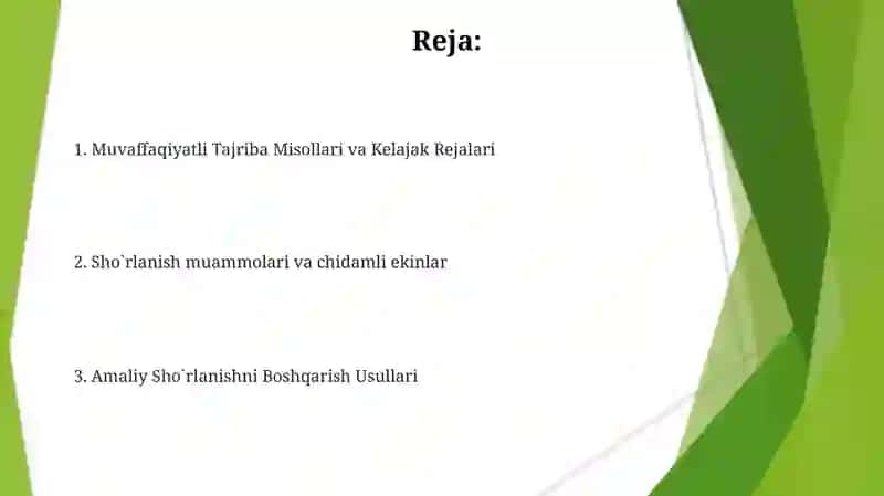 Shoʻrlangan yerlarda sabzavot va poliz ekinlarini yetishtirishning oʻziga xos xususiyatlari 2