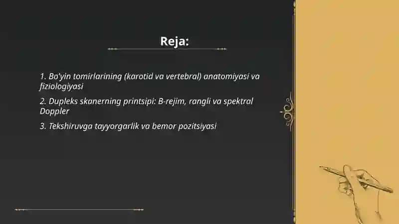 Bo'yin va bosh miya tomirlarini dupleks skanerlash 2