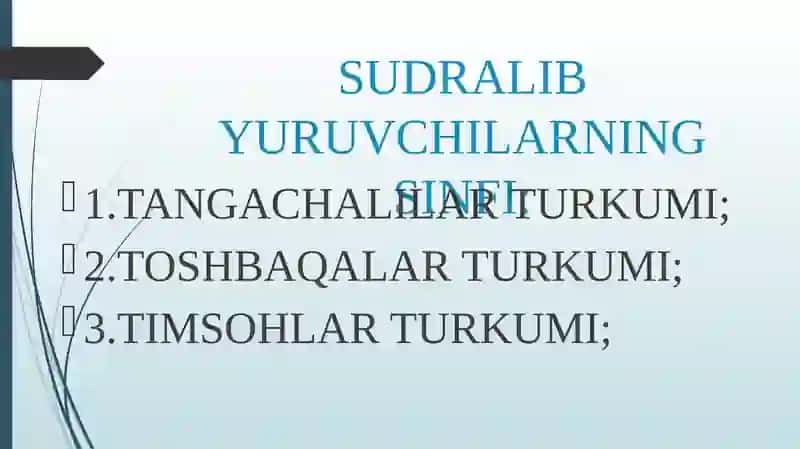 TOSHBAQALAR VA TIMSOHLAR TURKUMLARI 2