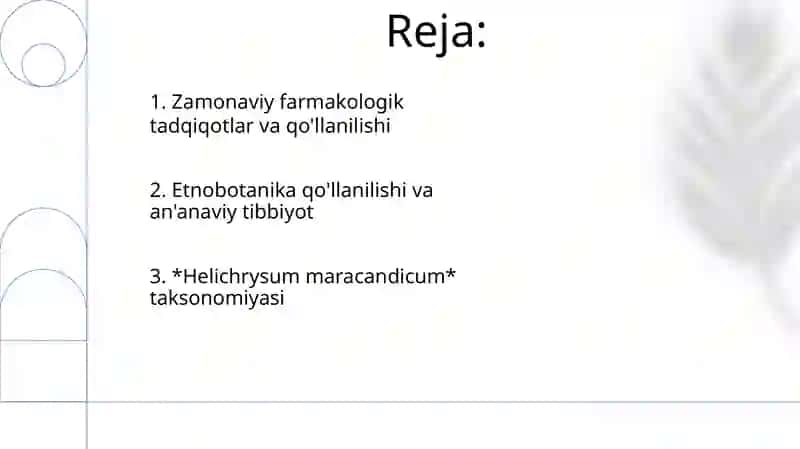 Samarqand o'lmas o'ti (Helichrysum maracandicum) ning sistematikasi va tibbiyotda qoʻllanishi 2