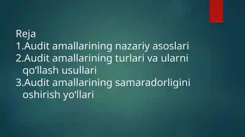 Audit amallari 2
