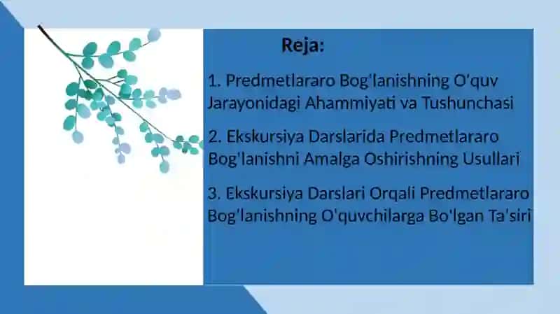 Ekskursiya darslari davomida predmetlararo bog‘lanish didaktik tamoyilini amalga oshirish yo‘llari 2