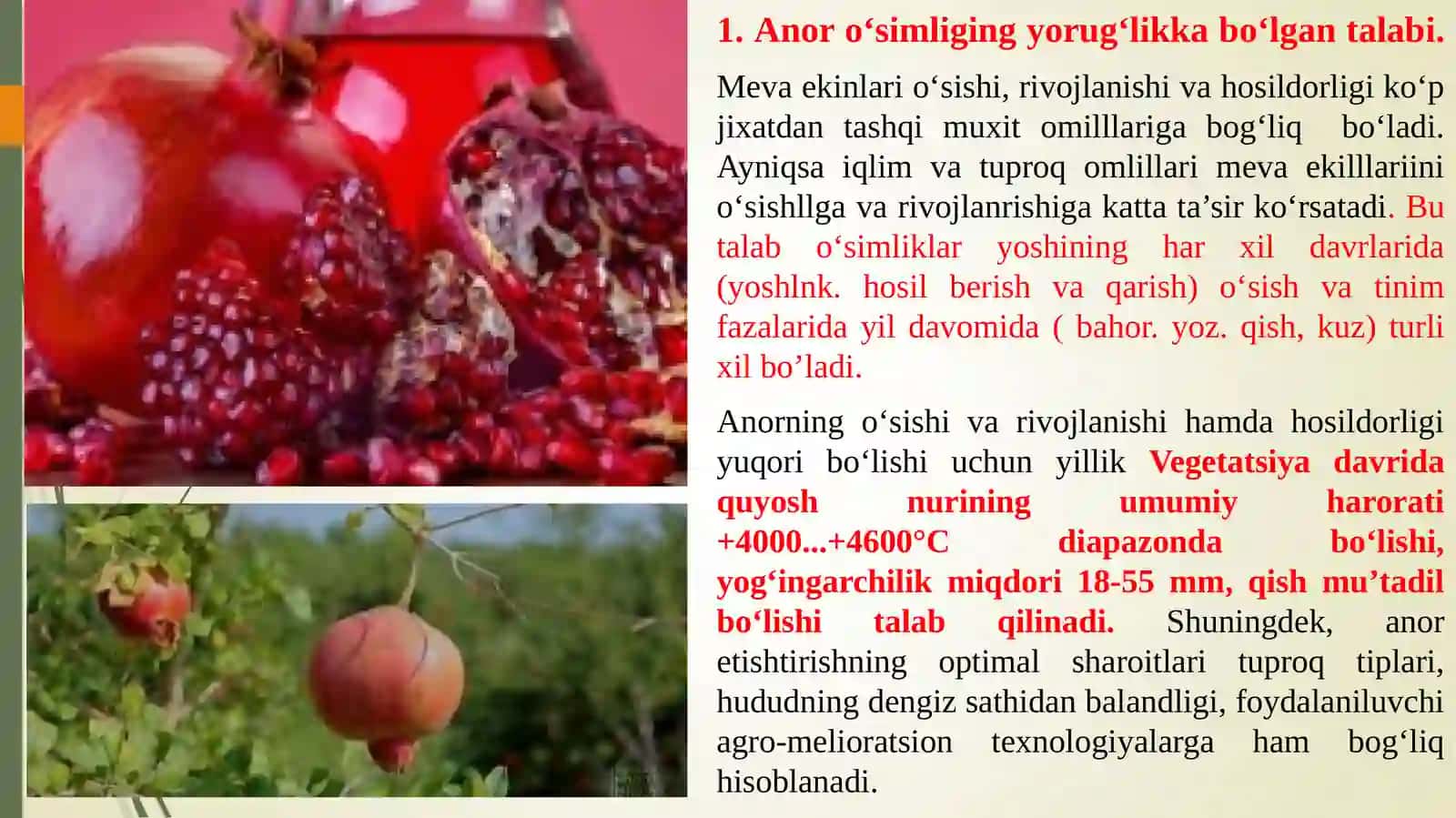 Anorni tashqi muhit omillariga bo’lgan talabi 2