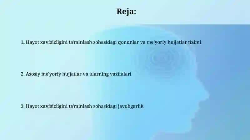 Hayot xavfsizligini ta'minlash sohasidagi qonunlar 2