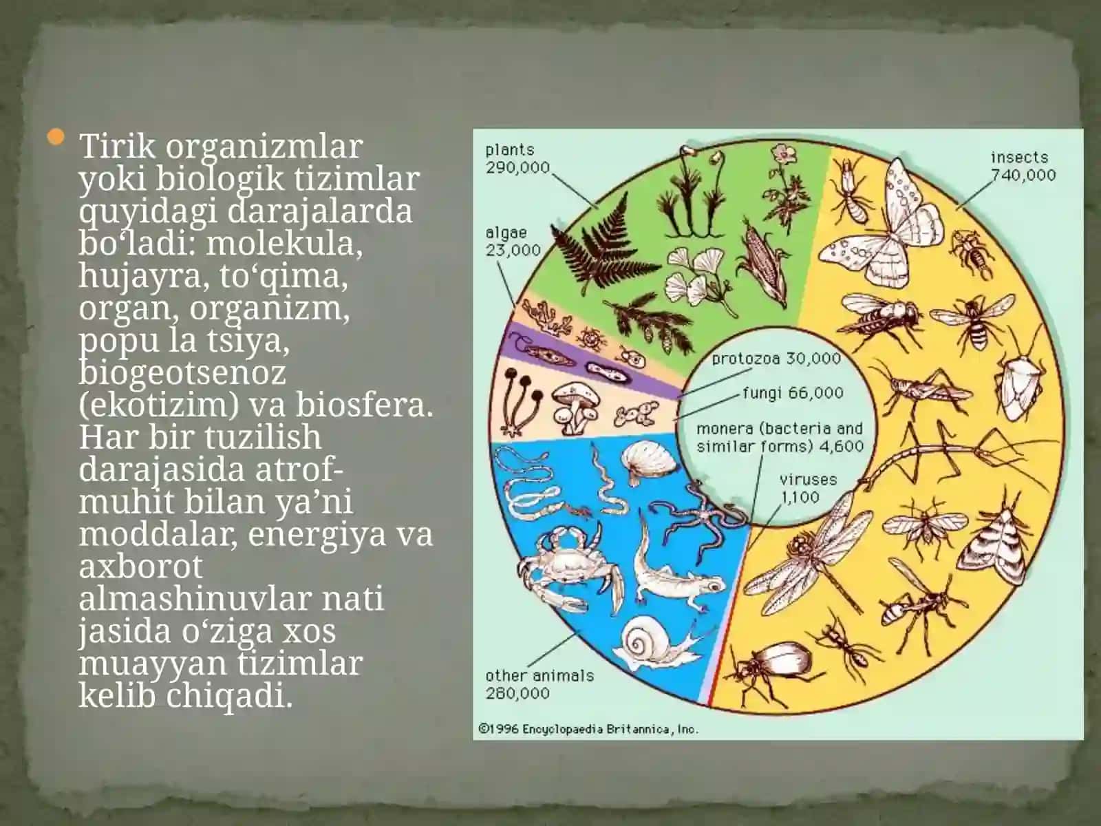 Biologiya. Sitologiya va genetika asoslari darsligi 2