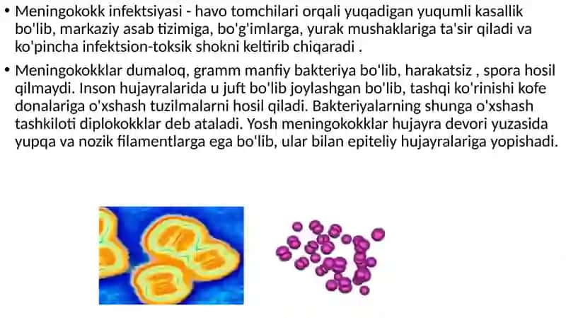 Meningokokkinfektsiyasi 2