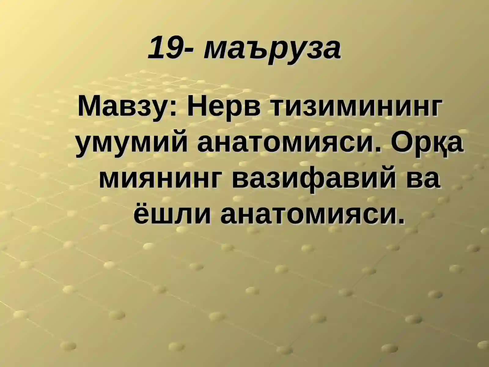 Нерв тизимининг умумий анатомияси. Орқа миянинг вазифавий ва ёшли анатомияси 2