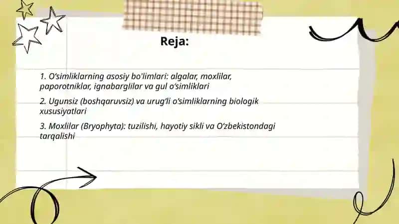 Oʻsimliklarning asosiy bo'limlari 2