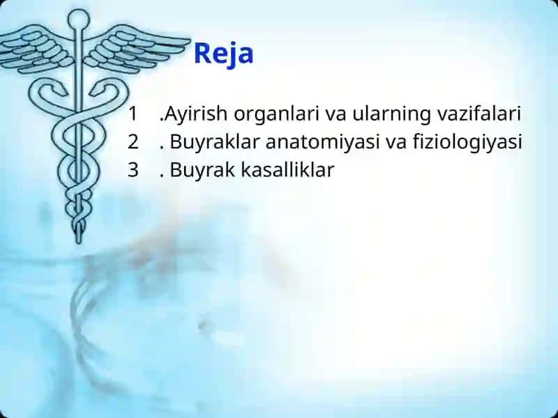 Ayirish organlari va ularning vazifalari 2