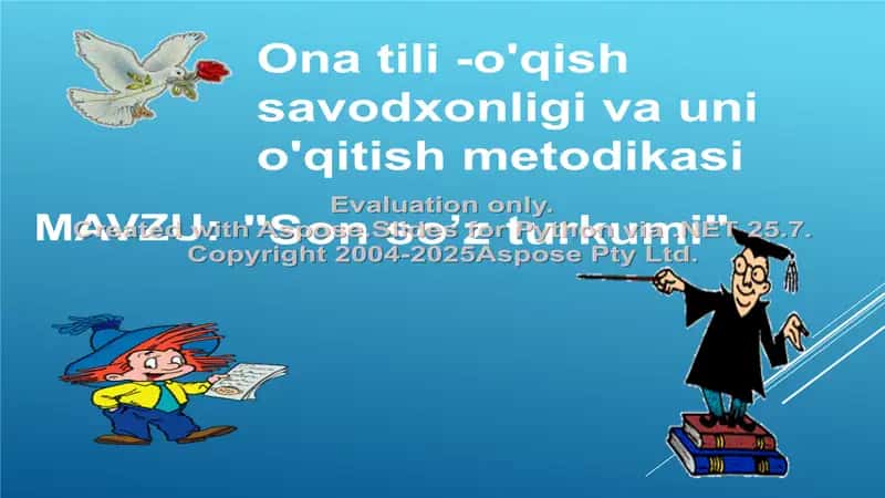 Son so'z turkumi 2