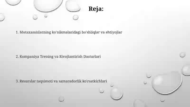 Kompaniya Trening va Rivojlantirish Dasturlari 2