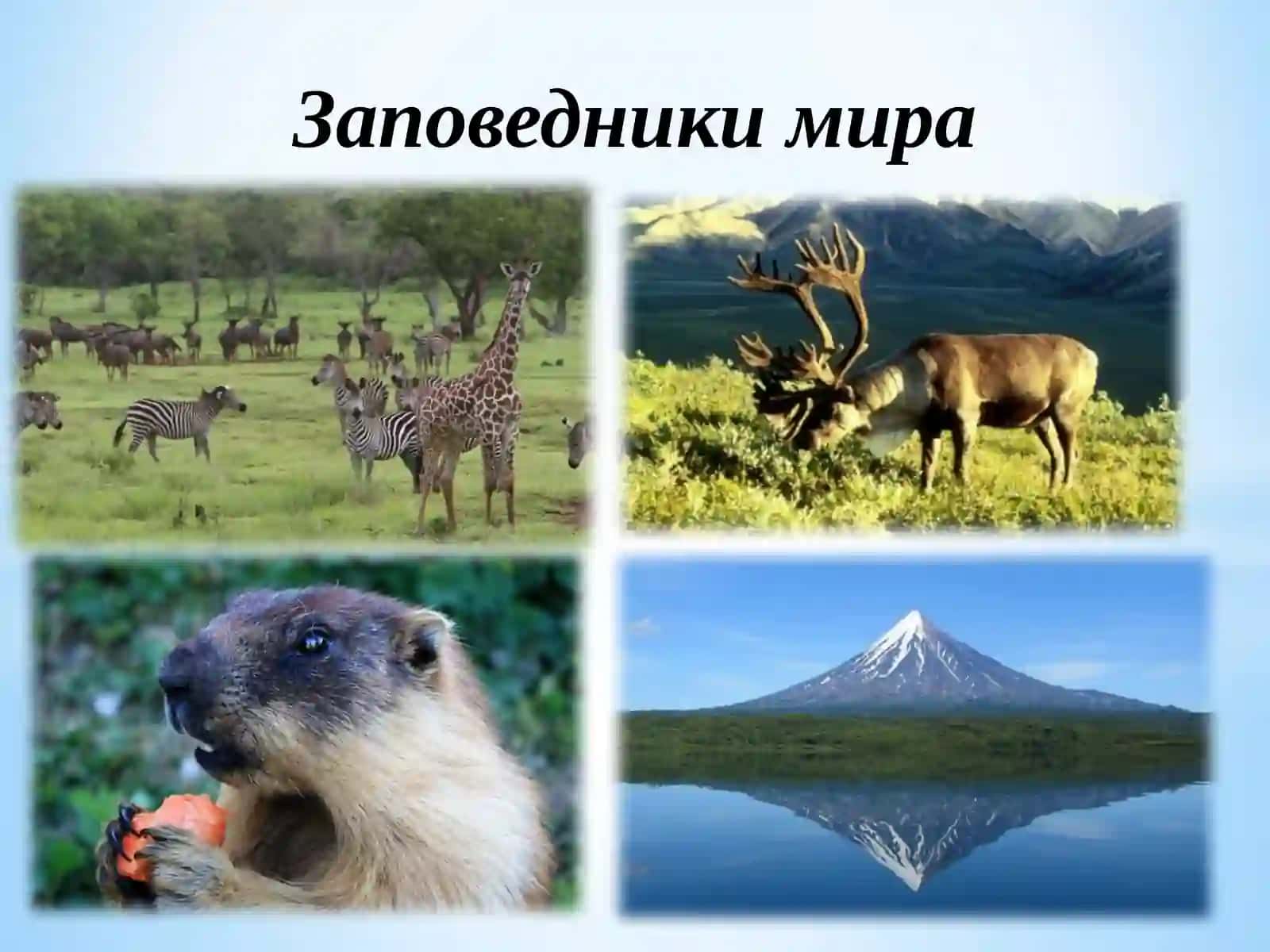 Заповедники мира 2
