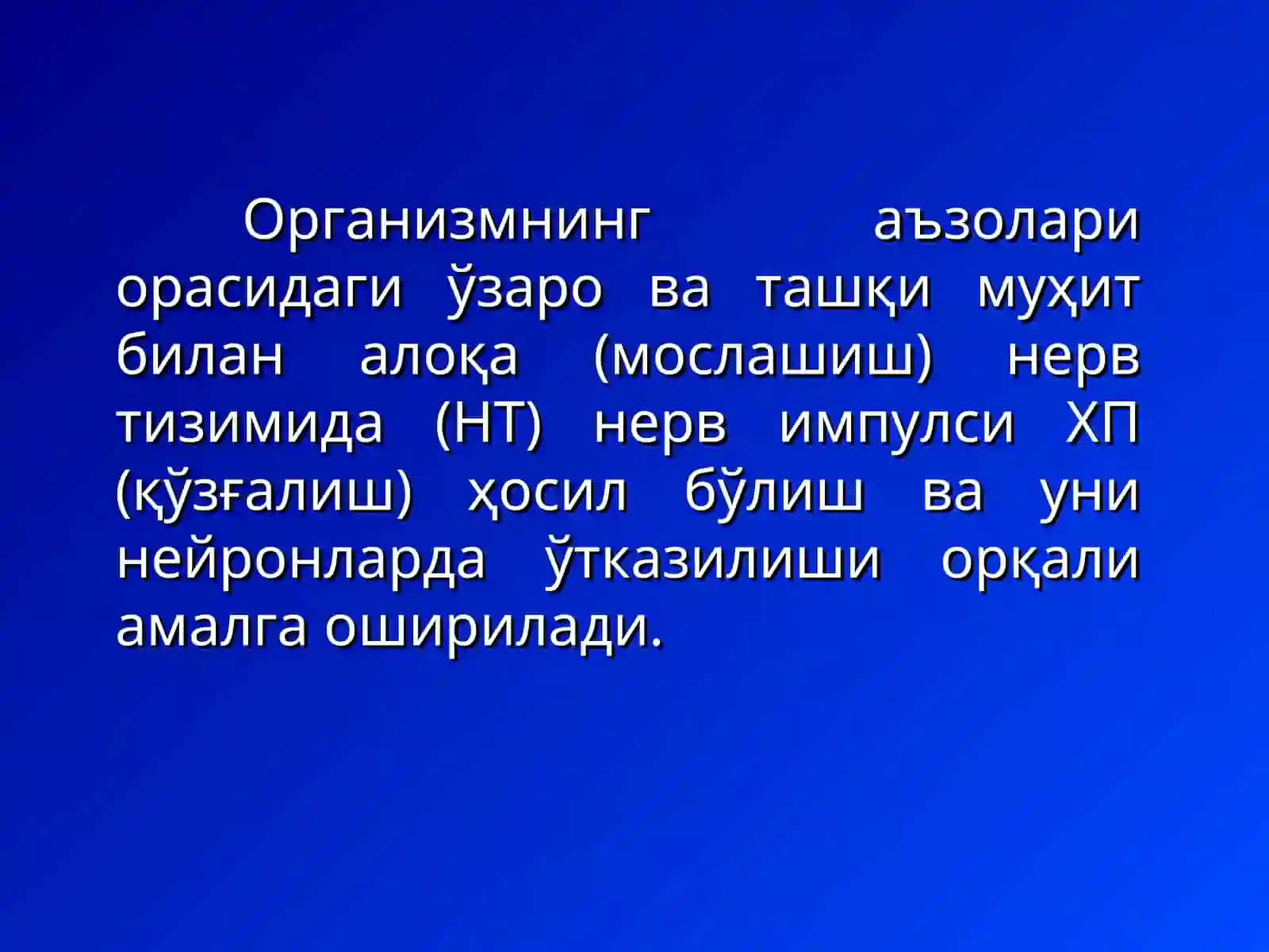 Нерв толаси ва синапслар 2