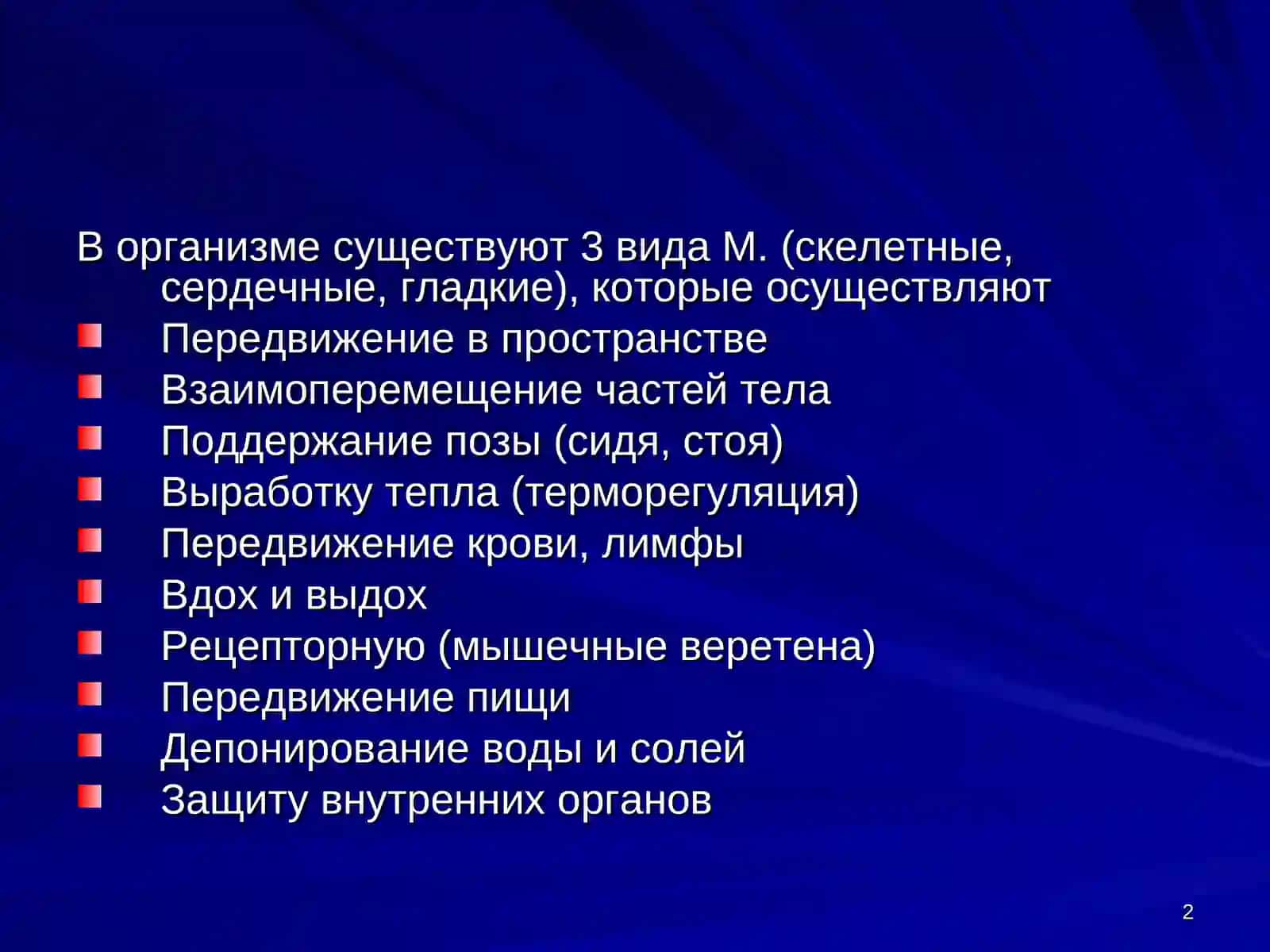 Физиология мышц.Нервные волокна и синапсы 2