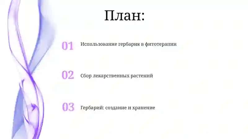 Гербарий 2