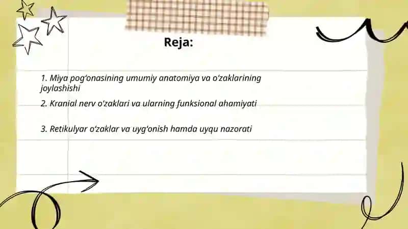 Miya pogʻonasi oʻzaklari va ularning ahamiyati 2