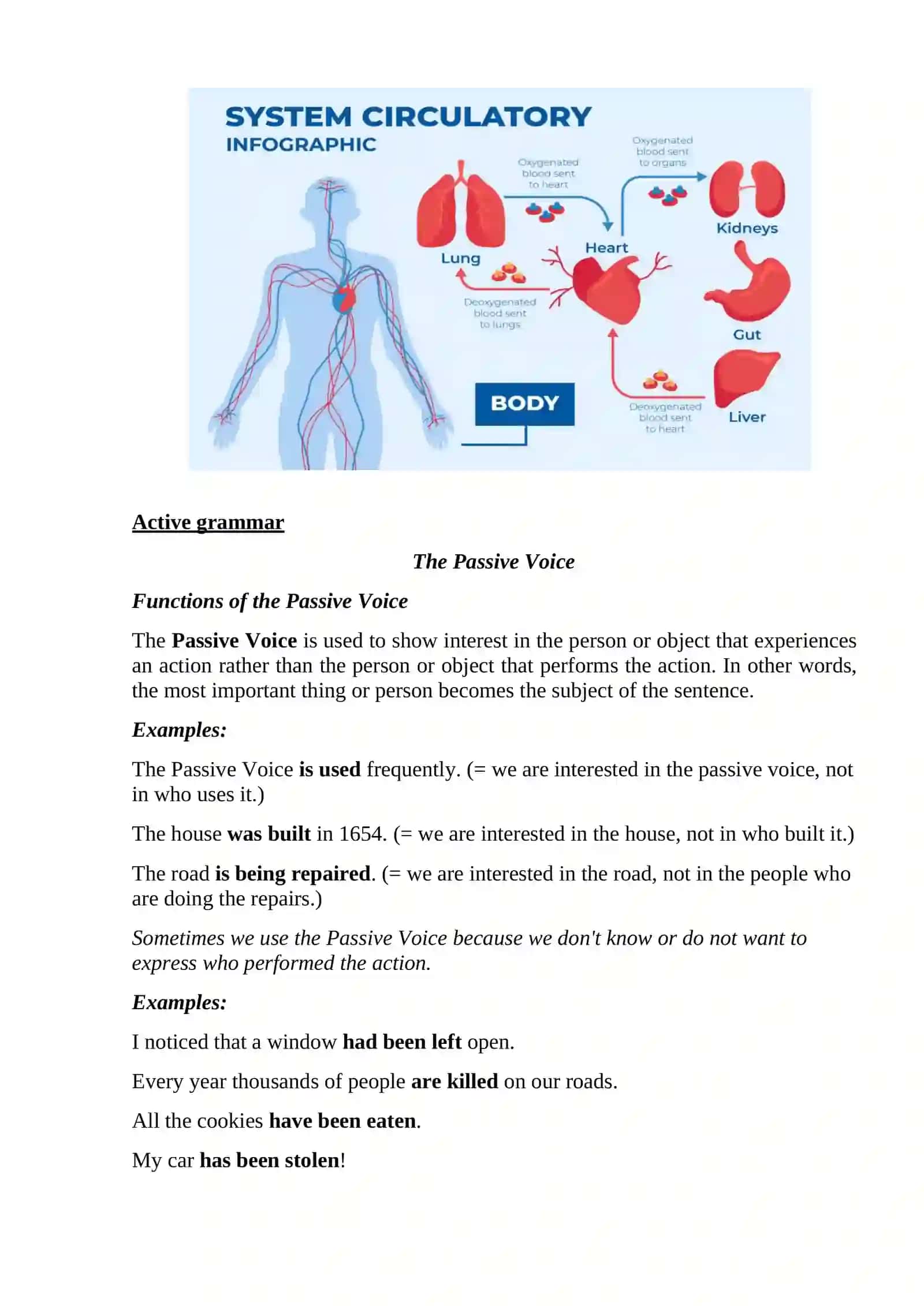 Lesson 7: Blood Circulation 2