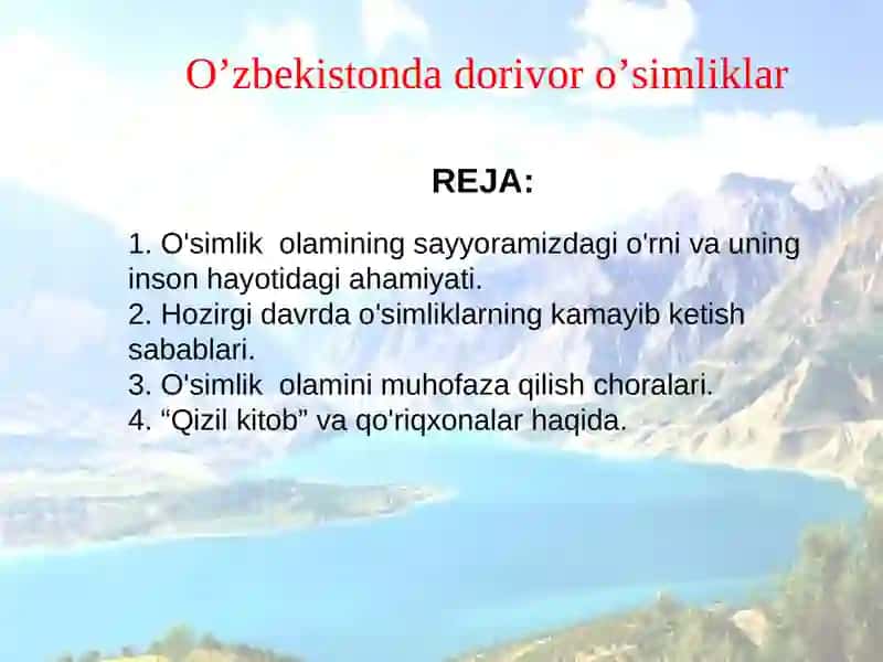 O'simlik olamining sayyoramizdagi o'rniva uning inson hayotidagi ahamiyati 2