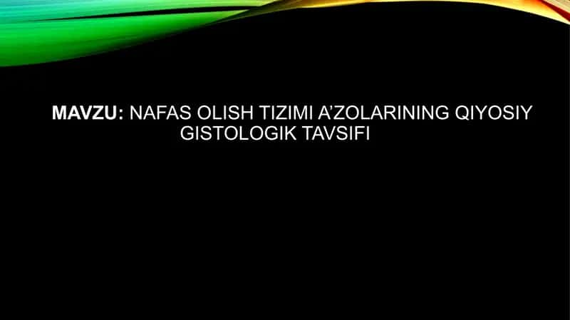 Naftas olish tizimi a’zolari tavsifi 2