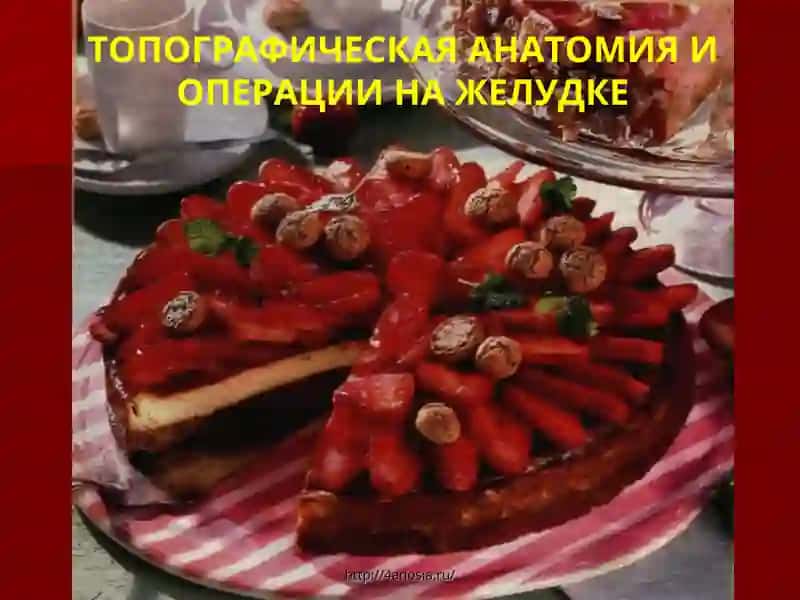 ТОПОГРАФИЧЕСКАЯАНАТОМИЯИОПЕРАЦИИ НА ЖЕЛУДКЕ 2