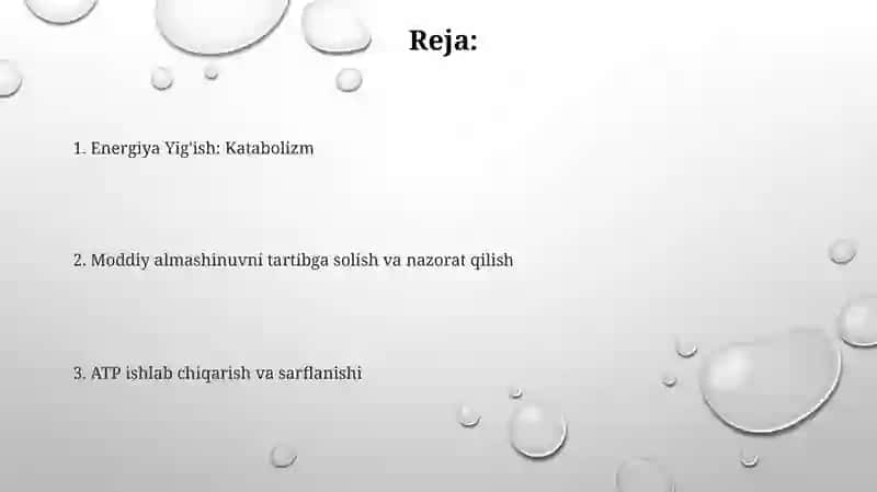 Metabolizm jarayonida energiya hosil boʻlishi va sarflanishi 2