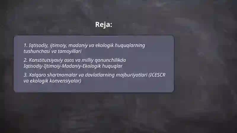 Iqtisodiy Ijtimoiy madaniy va ekologik huquq 2
