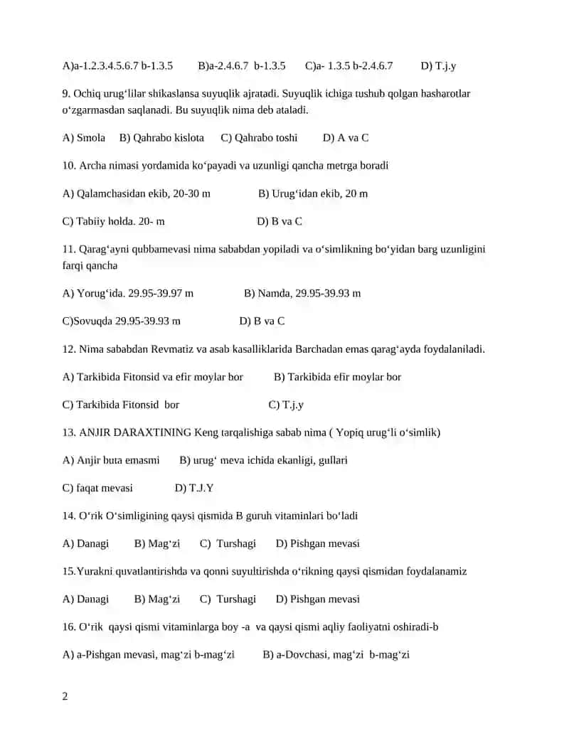 Qirqbo‘g‘im 2