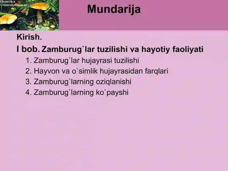 Zamburugʻlar. Ularning morfologiyasi,strukturasi va ularni oʻrganish usullari 2