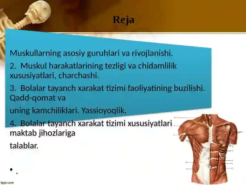 Muskultizimivauningyoshgabogliqxususiyatlari 2