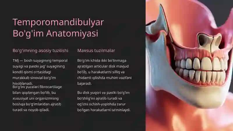 Temporomandibulyar Bo'g'im (TMJ): Tuzilishi, Kasalliklari va Davolash 2