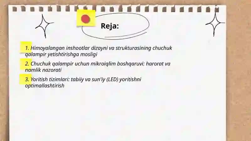 Himoyalangan inshoatlarda chuchuk qalampir yetishtirish texnologiyasi 2