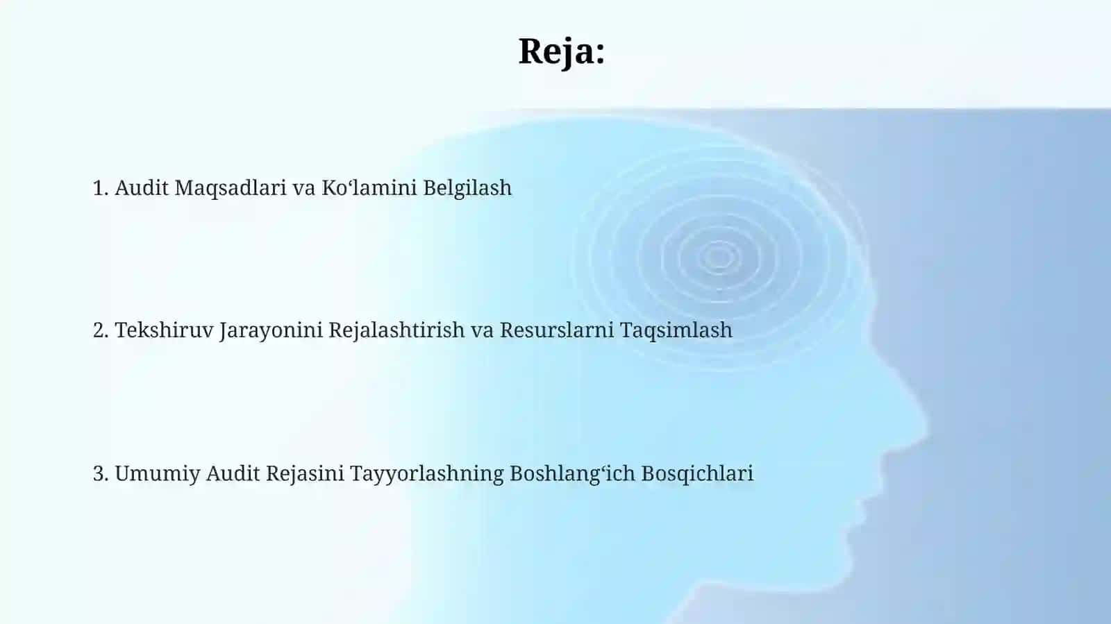Auditumumiyrejasinitayyorlashhususiyatlari 2