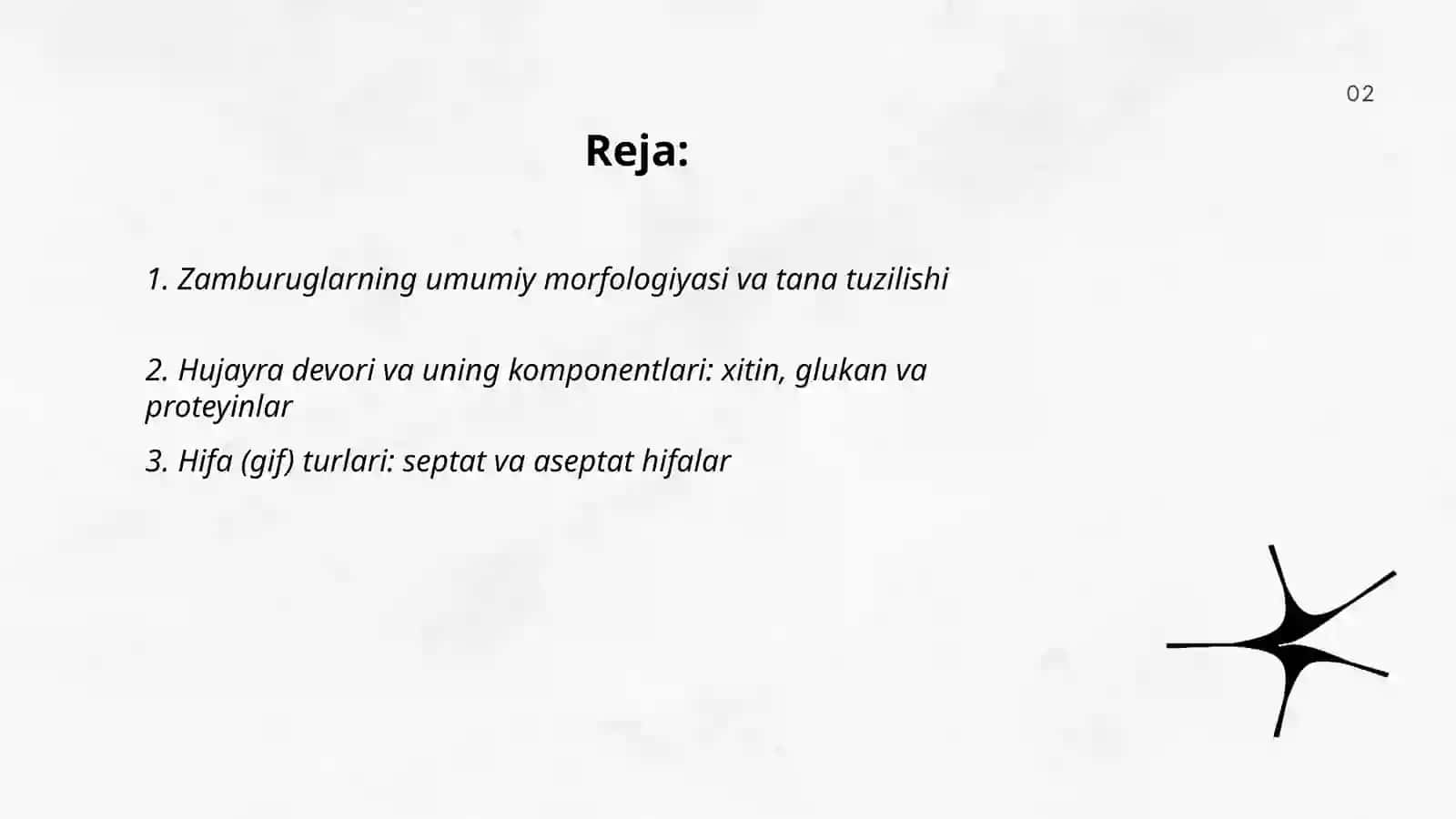 Zamburuglar.Ularning morfologiyasi,strukturasi va oʻrganish usullari 2