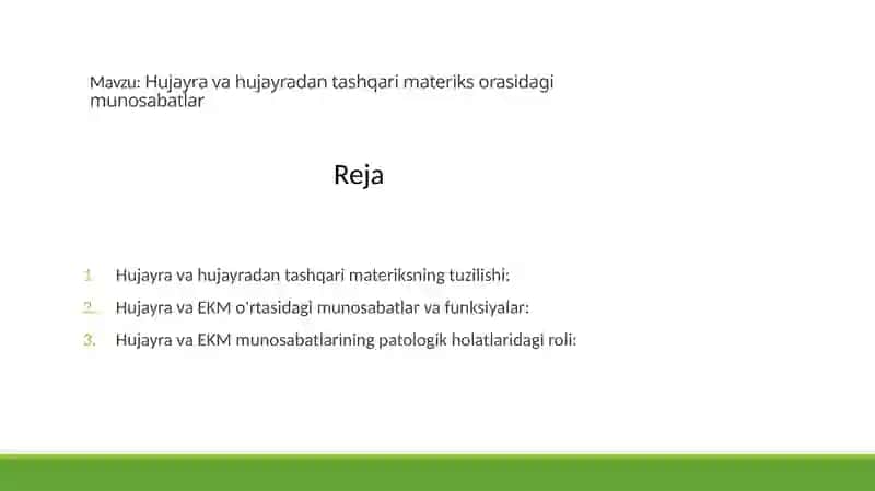 Hujayrava Hujayradan Tashqarimateriksining Tuzilishi 2