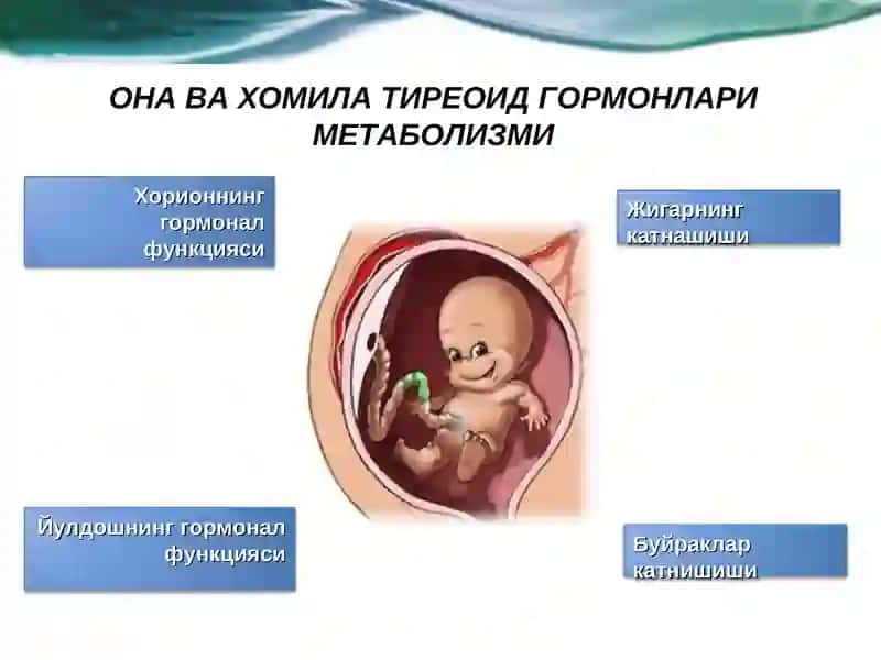 Хомиладорларда калконсимон без касалликларини ташхислаш ва даволаш 2