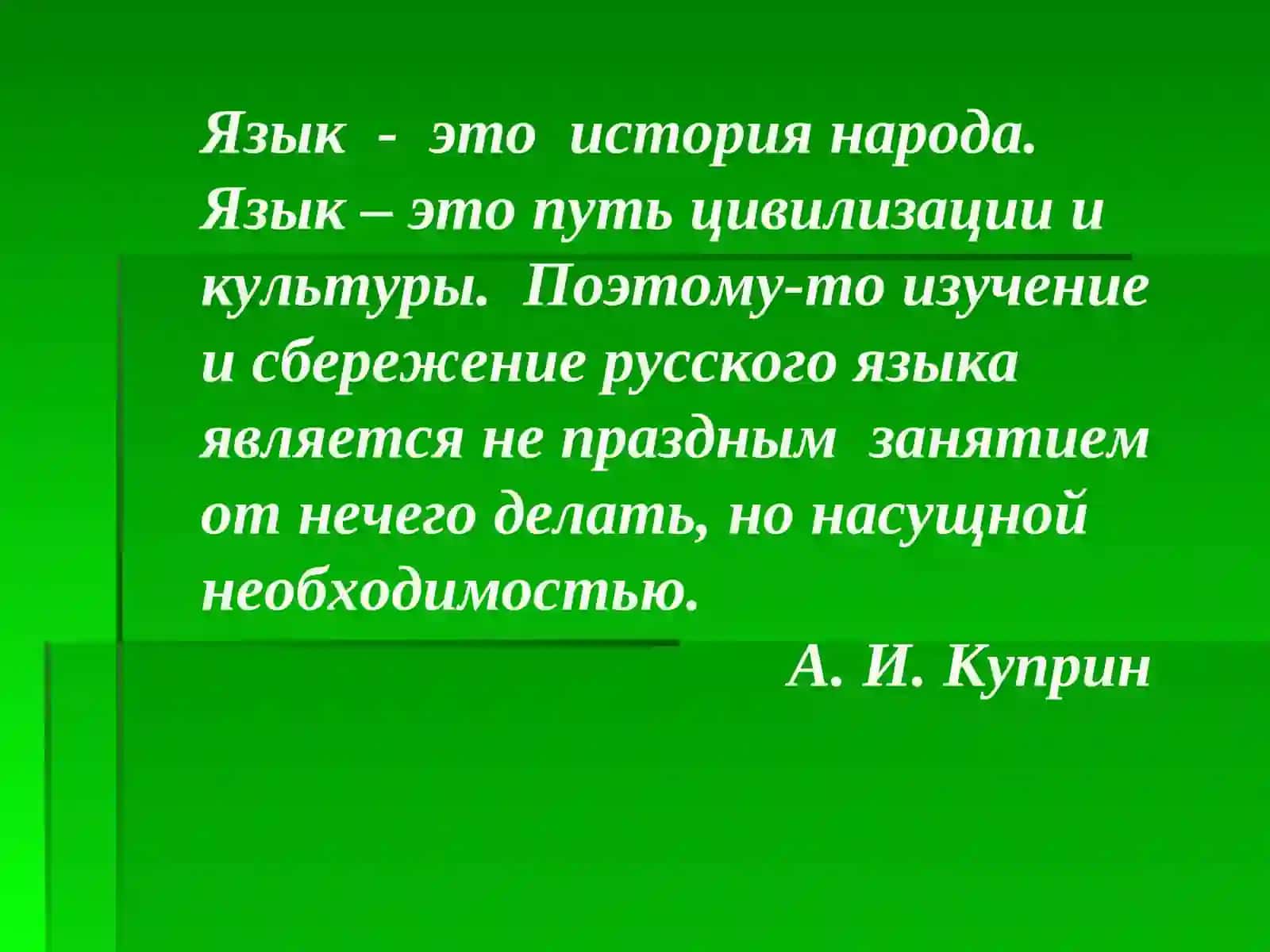 Урок русского языка9 класс 2
